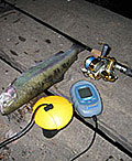 Эхолот Fisherman 140 в действии!